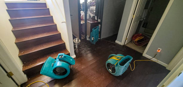 Trusted Country Club Hills, MO Water damage restoration Experts