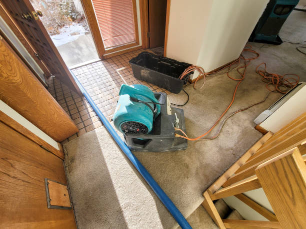 Best Water damage restoration near me  in Country Club Hills, MO
