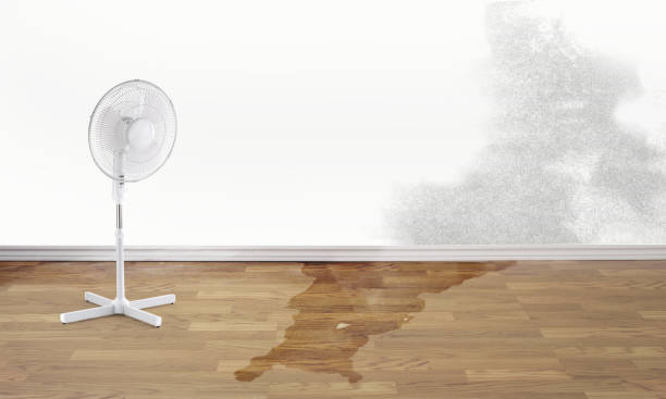 Best Water damage restoration near me  in Country Club Hills, MO
