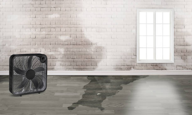 Best Sewage cleanup and water damage restoration  in Country Club Hills, MO