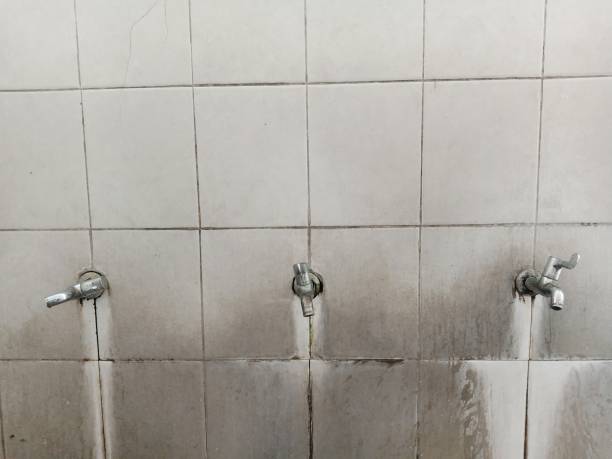 Best Commercial water damage restoration  in Country Club Hills, MO