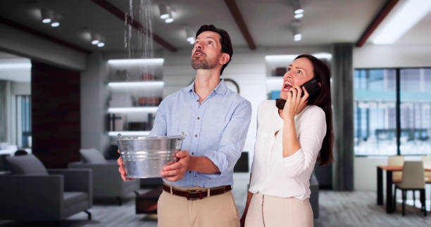 Best Flood restoration services  in Country Club Hills, MO